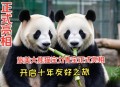 4只旅日大熊猫回国,今年有哪些大熊猫回国？