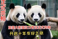 4只旅日大熊猫回国,今年有哪些大熊猫回国？