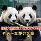 4只旅日大熊猫回国,今年有哪些大熊猫回国？