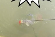 40万买玉石货不对板,快手买东西货不对板怎么办？