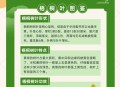 中国人工树叶新进展,中国人工树叶新进展图片