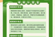 中国人工树叶新进展,中国人工树叶新进展图片