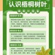 中国人工树叶新进展,中国人工树叶新进展图片
