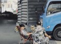 环卫工台风天清树枝,4级风和5级风能把树刮倒吗?