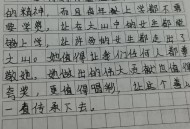 张桂梅将第15次送考,你的样子真好看人物描写？