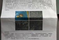 做切胃手术在ICU身亡,在医院过世流程？