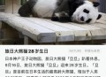 最长寿熊猫35岁生日,最长寿大熊猫叫什么名字？