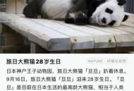 最长寿熊猫35岁生日,最长寿大熊猫叫什么名字？