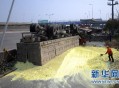 大桥垮塌疑多车掉落,大桥垮塌事故