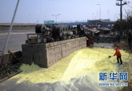 大桥垮塌疑多车掉落,大桥垮塌事故