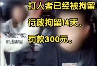 司机辱骂乘客被立案,辱骂他人报警立案后的处理时效？