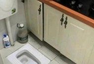 千万建10个厕所被查,蹲厕上厕所可以中途冲水吗？