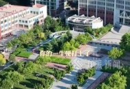 校长论文抄袭被免职,翟天临涉学术造假，论文抄袭违法吗？论文被抄袭该如何维权？
