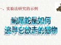 将人当猎物射成重伤,在研究“响尾蛇如何跟踪它放走的猎物”的实验中，科学家提出了响尾蛇是根据自己毒液的气味来追踪受伤的猎？