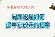将人当猎物射成重伤,在研究“响尾蛇如何跟踪它放走的猎物”的实验中，科学家提出了响尾蛇是根据自己毒液的气味来追踪受伤的猎？