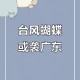 台风蝴蝶广东再登陆,台湾的蝴蝶有多少只？