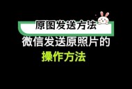 微信聊天收发实况图,怎么发实况照片给微信好友？