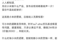 小米汽车副总裁回应,小米汽车副总裁回应问题