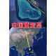 双航母首合围美关岛,关岛区属于哪个市？