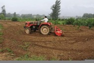 男子租农场骗上亿元,男子租农场骗上亿元钱