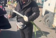 误拔别人2万多斤葱,误拔别人2万多斤葱怎么办