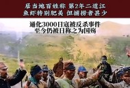 日本扑杀6000只鸡,人们一共捕杀多少只熊？