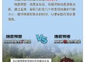 造谣预测地震被查处,发生地震后该去哪里躲？怎样辨别地震谣言？