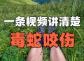 每年超25万人被蛇咬,每年超25万人被蛇咬死
