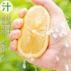 柠檬价格飙涨似黄金,柠檬价格暴涨