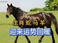 70斤蟒蛇生吞30斤羊,马来西亚一条180公斤的蟒蛇吞掉两只羊，真的有这么大的蛇？