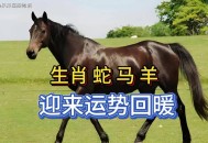 70斤蟒蛇生吞30斤羊,马来西亚一条180公斤的蟒蛇吞掉两只羊，真的有这么大的蛇？