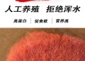 一酒店浴缸现红线虫,浴缸里红色线虫