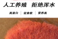 一酒店浴缸现红线虫,浴缸里红色线虫