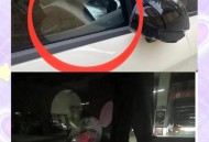 被车窗夹脖窒息身亡,车窗夹到脖子呼吸有问题吗