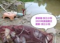 保护区里的疯狂垂钓,自然保护区可以钓鱼吗？