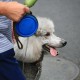 7岁男孩遭3只犬撕咬,7岁男孩遭3只犬撕咬怎么办
