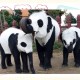 日本希望再租借熊猫,各个国家租借大熊猫每年要多少元？