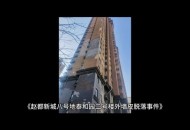 外墙脱落疑砸死女孩,教学楼外墙脱落砸死学生谁该负责？