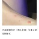 每年超25万人被蛇咬,澳大利亚蛇多吗？