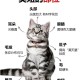 中国小猫被运到美国,中国小猫被运到美国了吗