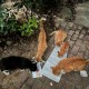 医生持弓箭射流浪猫,急诊科医生猫进肚子里结局？