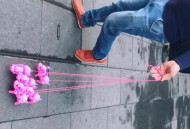 男子街头遛猪引围观,遛猪大赛规则？