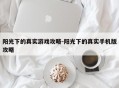 阳光下的真实游戏攻略-阳光下的真实手机版攻略