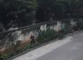 天降花盆砸路人脚边,花盆坠落将人砸死