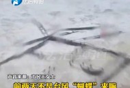 台风后遍布生蚝蛤蜊,为什么大风过后生蚝质量会下降？