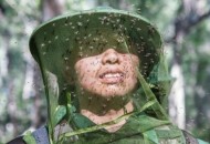 最大蚊子工厂将投产,世界四大蚊虫王国为啥不能消灭？