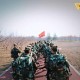 新疆158名徒步者获救,新疆158名徒步者获救视频