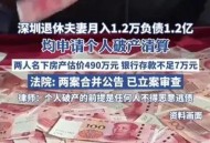 退休夫妇欠债1.2亿 ,退休夫妇欠债1.2亿怎么办