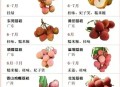荔枝价格大跌,去年荔枝大丰收，价格持续低迷，今年荔枝大减产，价格如何？