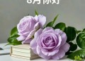 八月第一天,八月第一天怎么发朋友圈